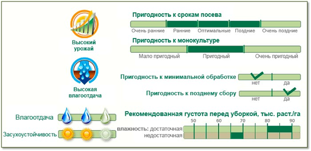 pasted image 0 (2).png