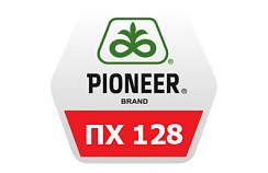 Семена рапса Pioneer ПХ128 maximus