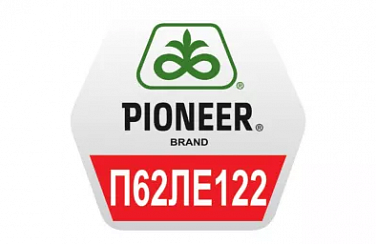 Семена подсолнечника Pioneer П62ЛЕ122