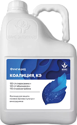 КОАЛИЦИЯ, КЭ