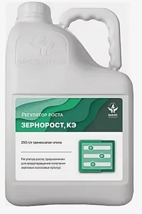 ЗЕРНОРОСТ, КЭ