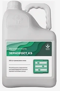 ЗЕРНОРОСТ, КЭ