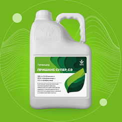 ПРИШАНС СУПЕР, СЭ