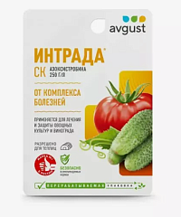 ИНТРАДА, СК