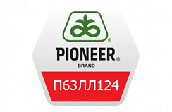 Семена подсолнечника Pioneer П63ЛЛ124