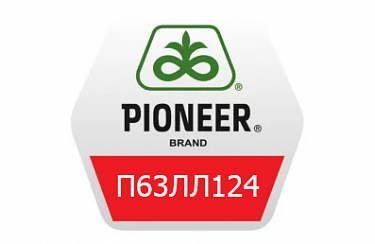 Семена подсолнечника Pioneer П63ЛЛ124