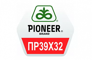 Гибрид кукурузы Pioneer ПР39Х32