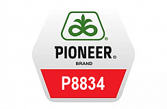 Гибрид кукурузы Pioneer П8834