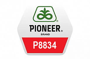Гибрид кукурузы Pioneer П8834 (P8834)