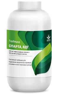 СПАРТА, ВДГ